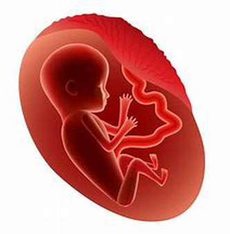 fetal fetal