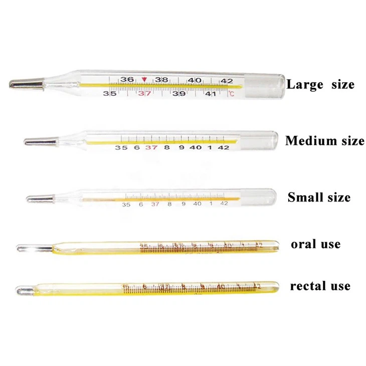 Mercury Thermometer Price